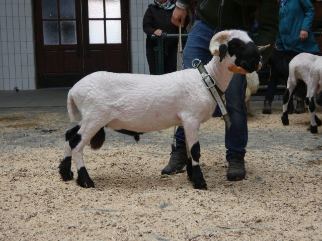 DE0010991660159 BY-HF